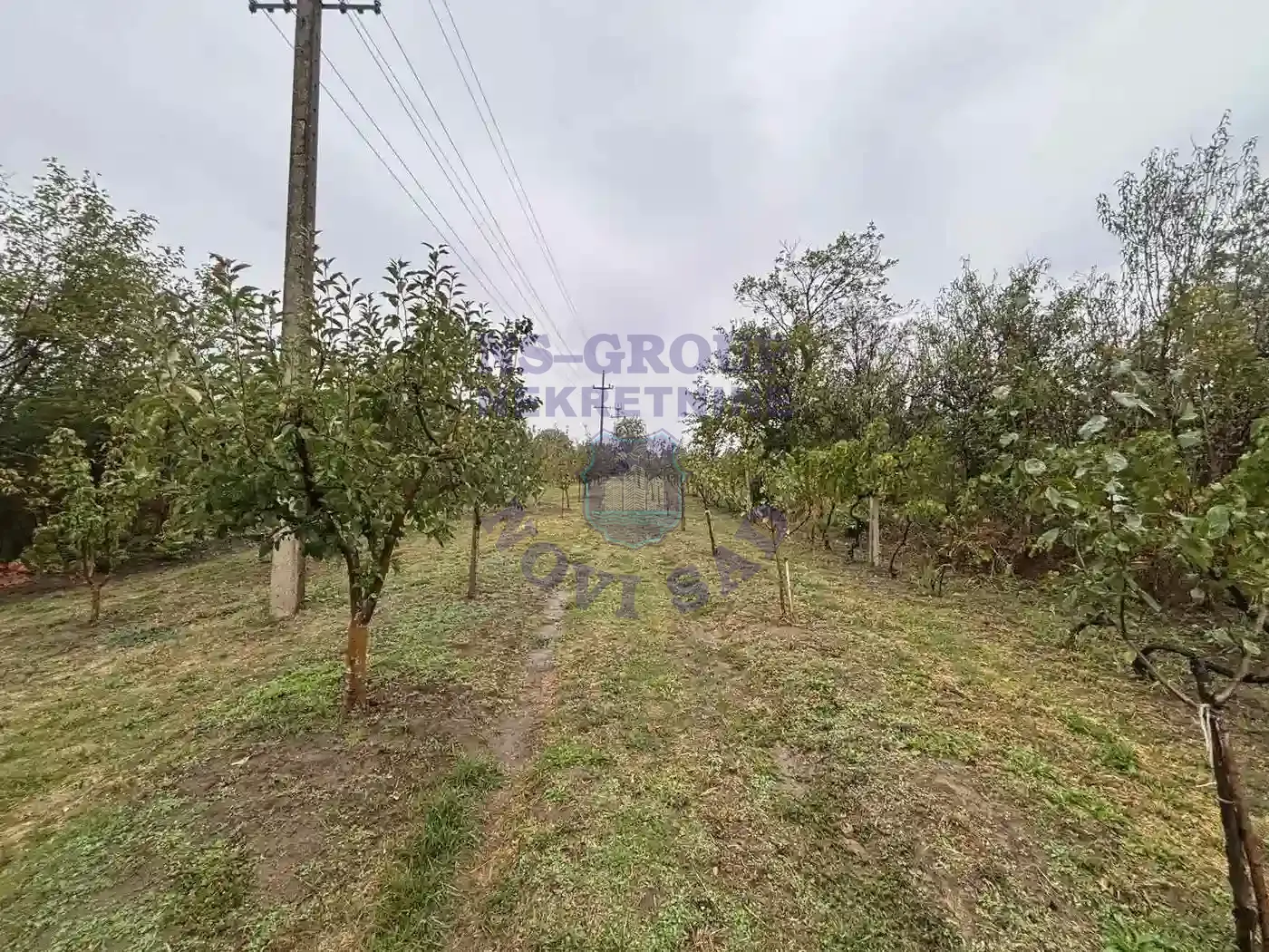 plac na prodaju Novi Slankamen 1529m2 556112