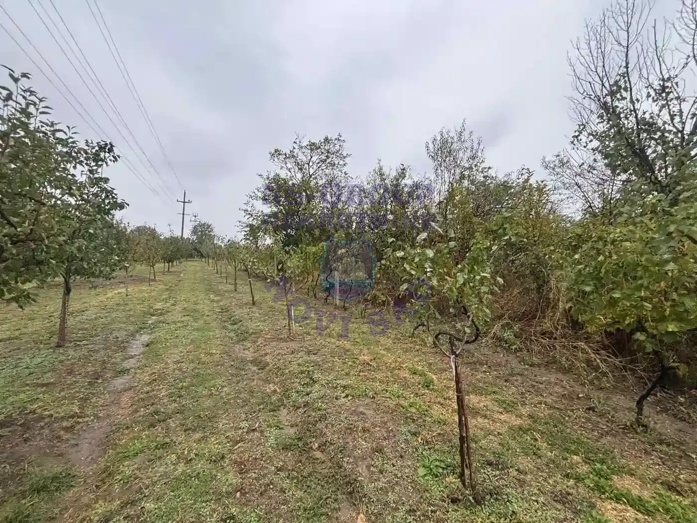 plac na prodaju Novi Slankamen 1529m2 556112