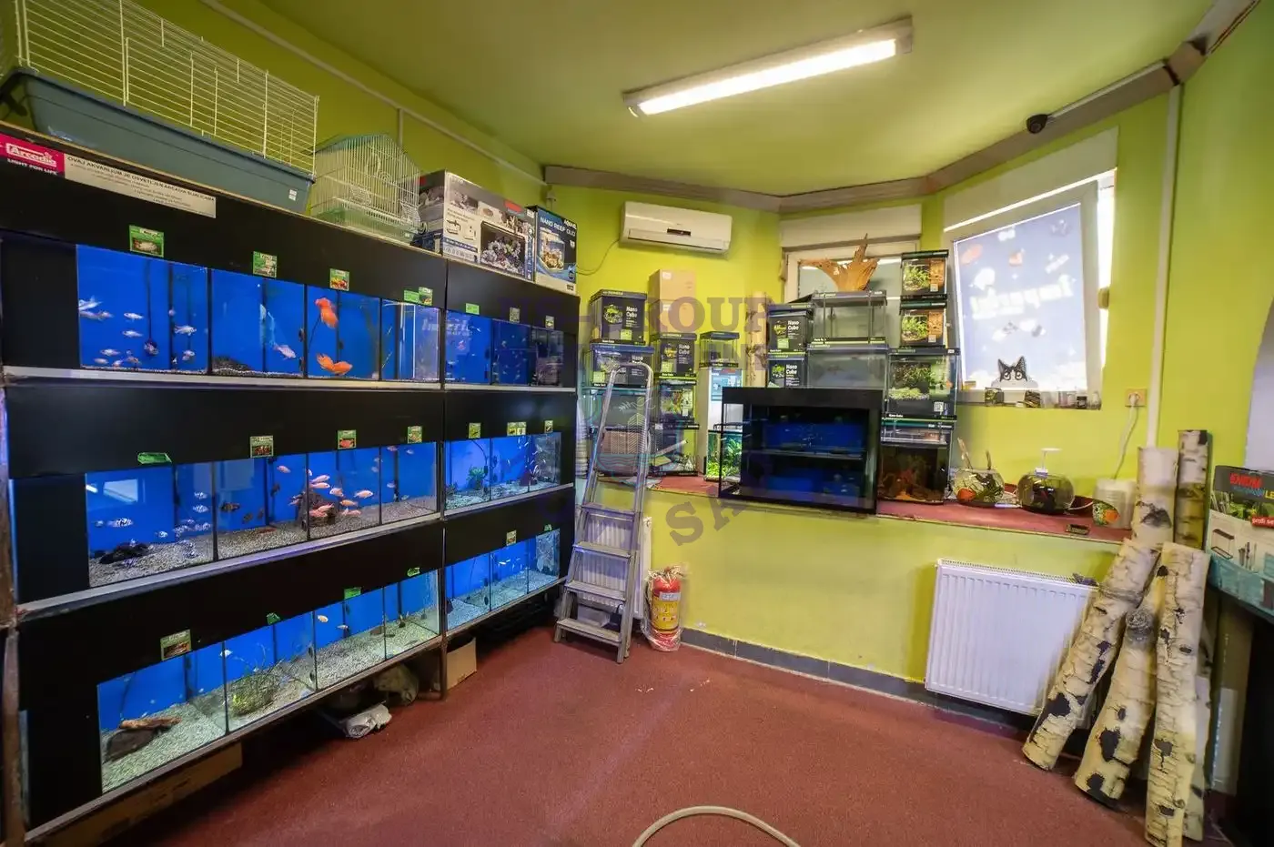 lokal na prodaju Novi Sad 192m2 555049