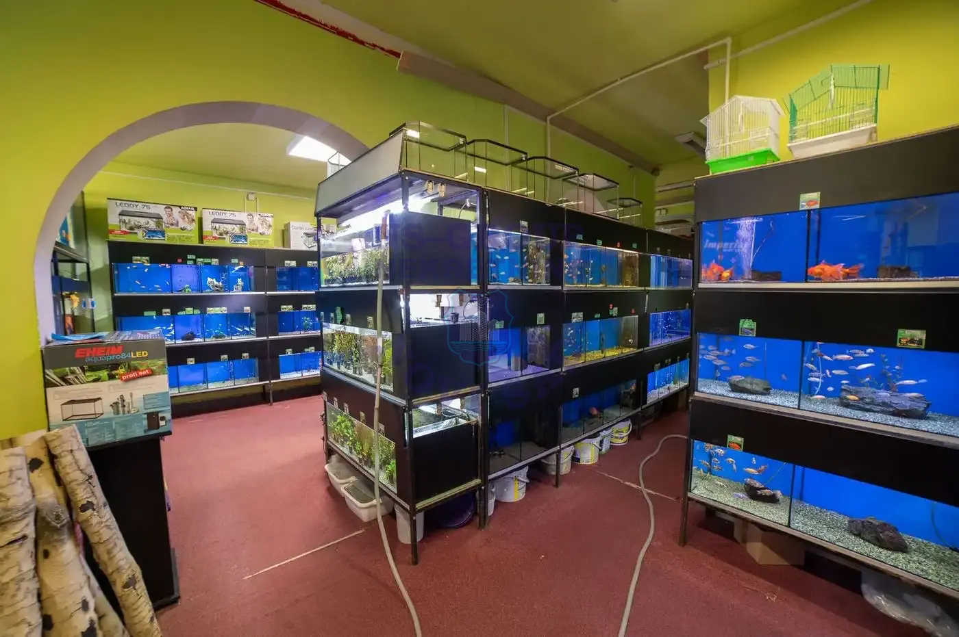 lokal na prodaju Novi Sad 192m2 555049