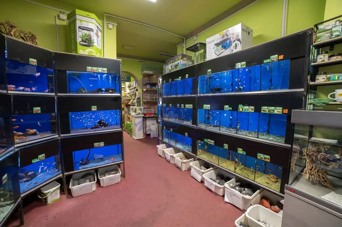 lokal na prodaju Novi Sad 192m2 555049