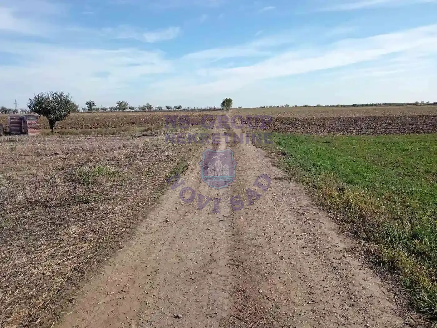 plac na prodaju Inđija 5756m2 556822