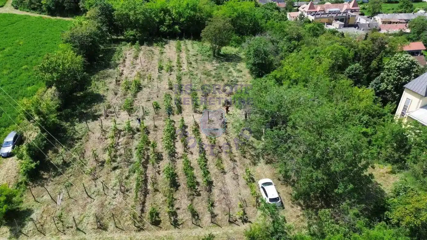 plac na prodaju Beočin 6932m2 557240