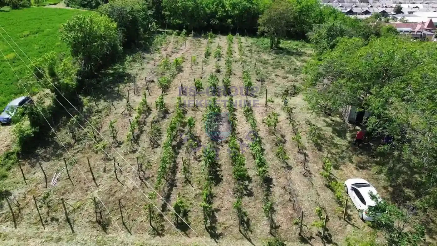 plac na prodaju Beočin 6932m2 557240