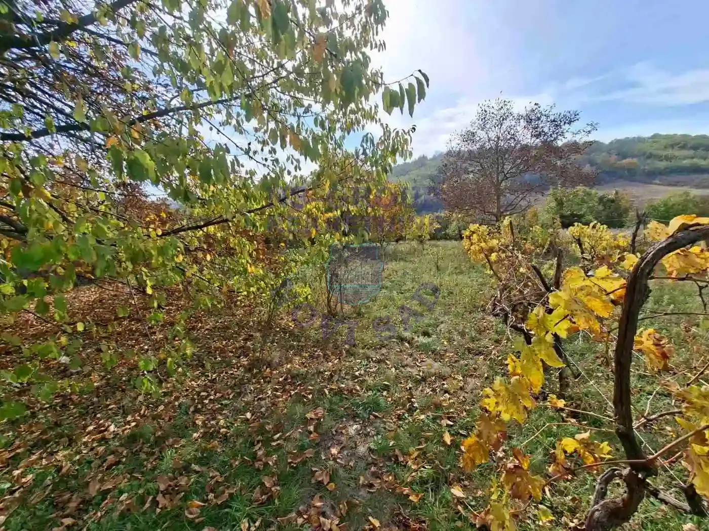 plac na prodaju Maradik 5330m2 557448