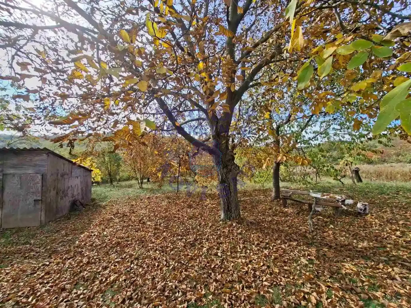 plac na prodaju Maradik 5330m2 557448
