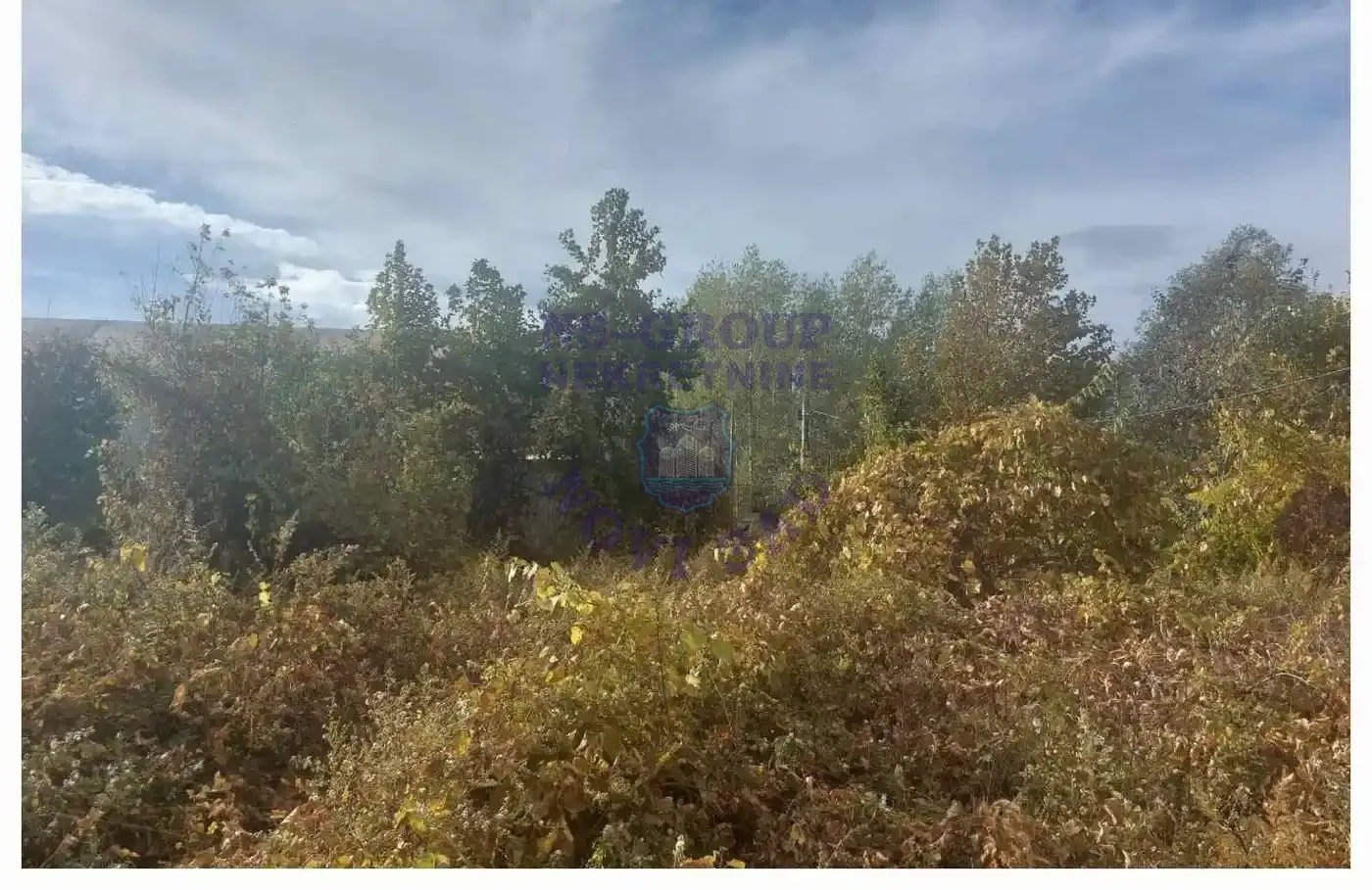 plac na prodaju Novi Sad, 479m2 556860