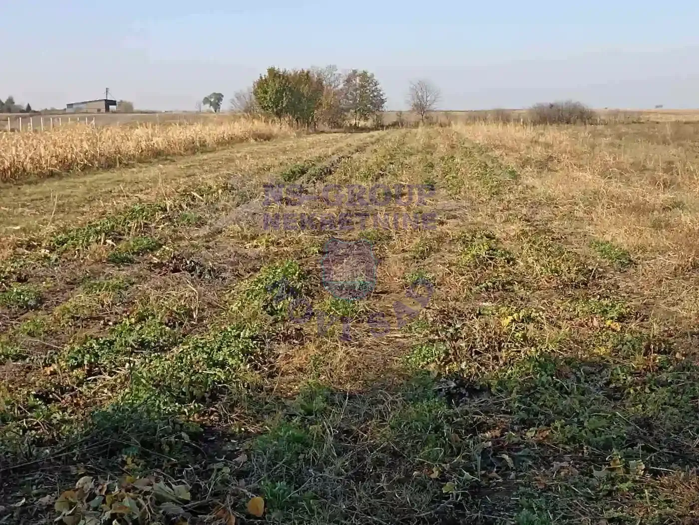 plac na prodaju Kisač 1568m2 558285