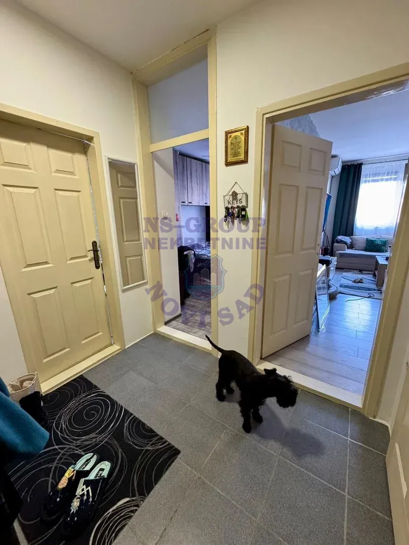 stan na prodaju Novi Sad 41m2 559406