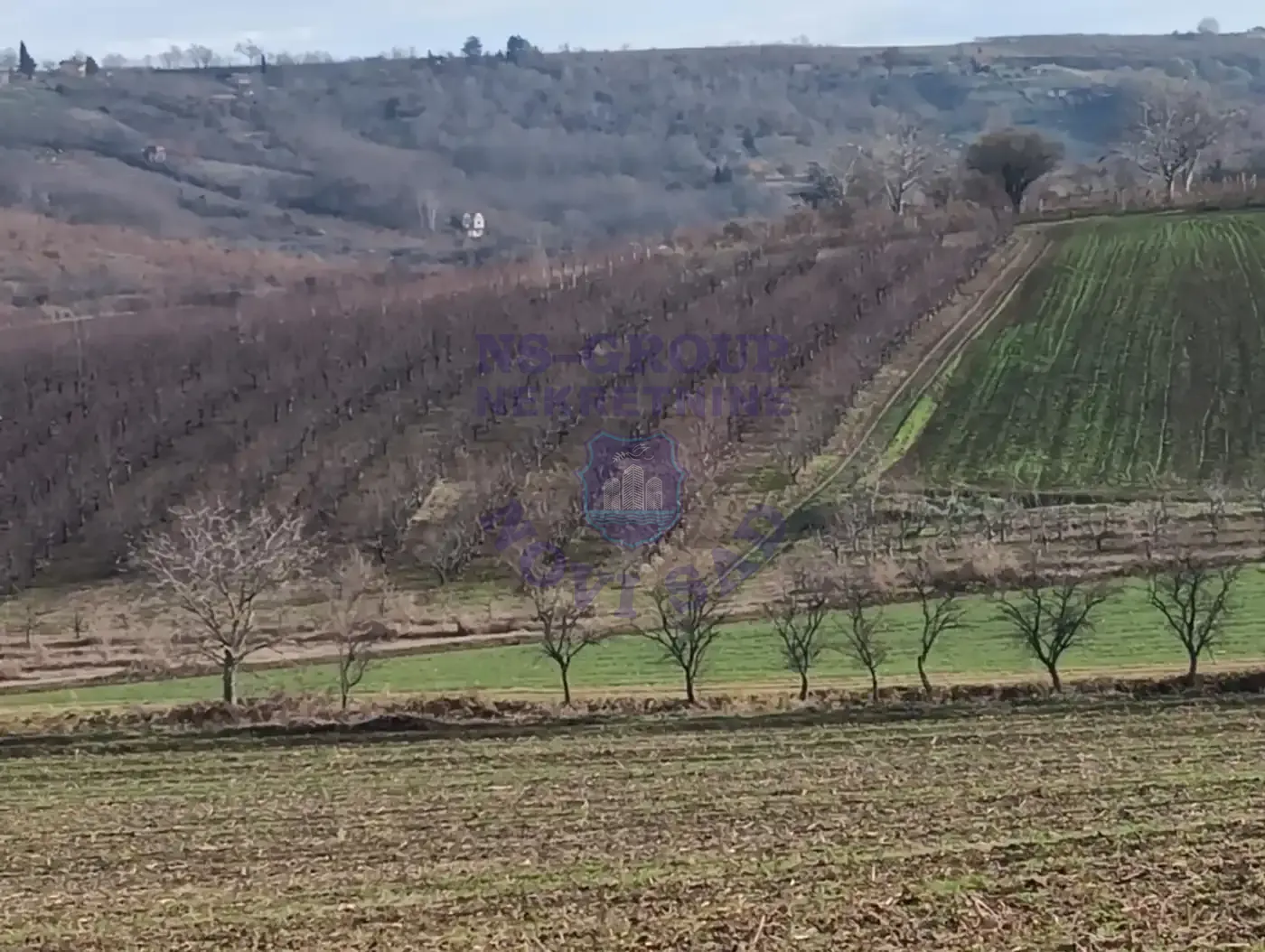 plac na prodaju Sremski Karlovci, 41029m2 559271