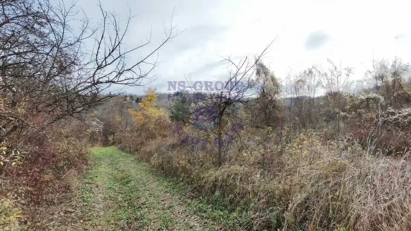 plac na prodaju Sremska Kamenica 11177m2 549448