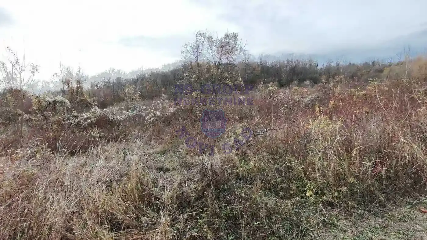 plac na prodaju Sremska Kamenica 11177m2 549448
