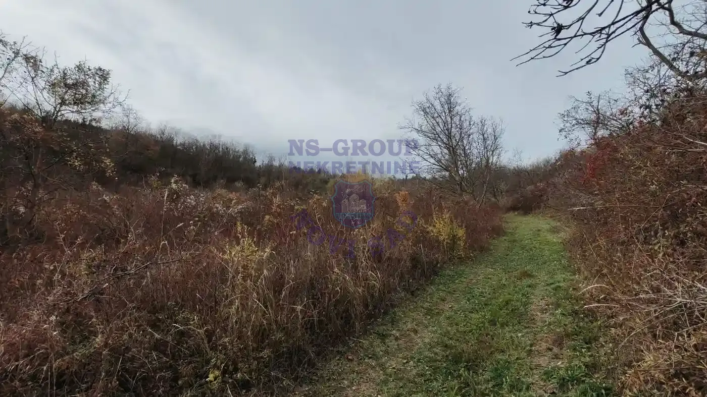 plac na prodaju Sremska Kamenica 11177m2 549448