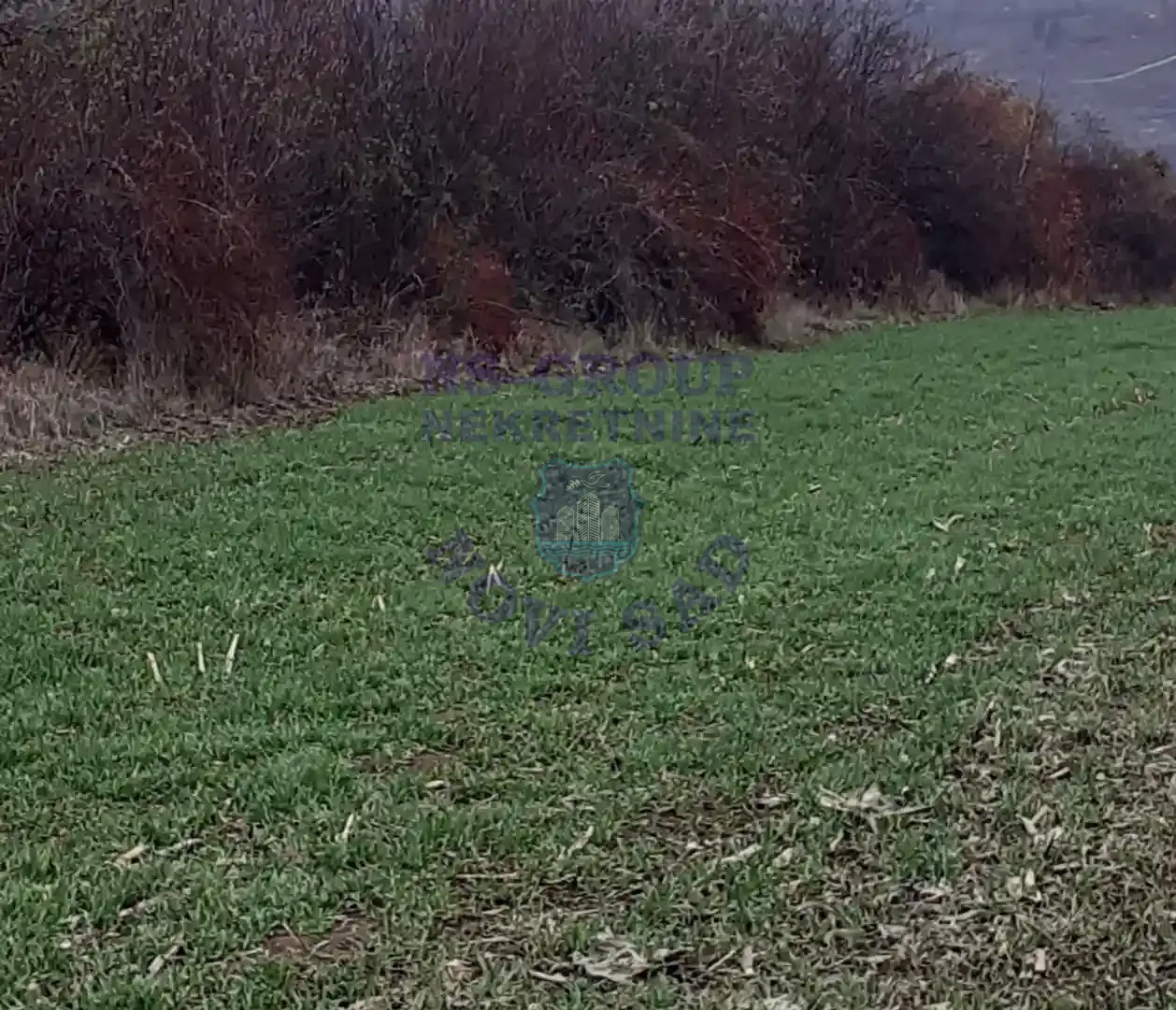 plac na prodaju Vrdnik 2463m2 559548