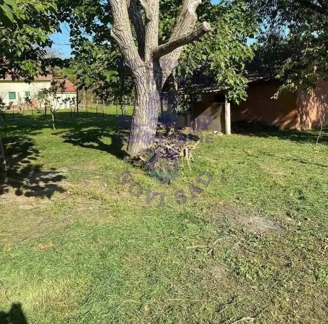 kuca na prodaju Bačko Gradište 40m2 559927