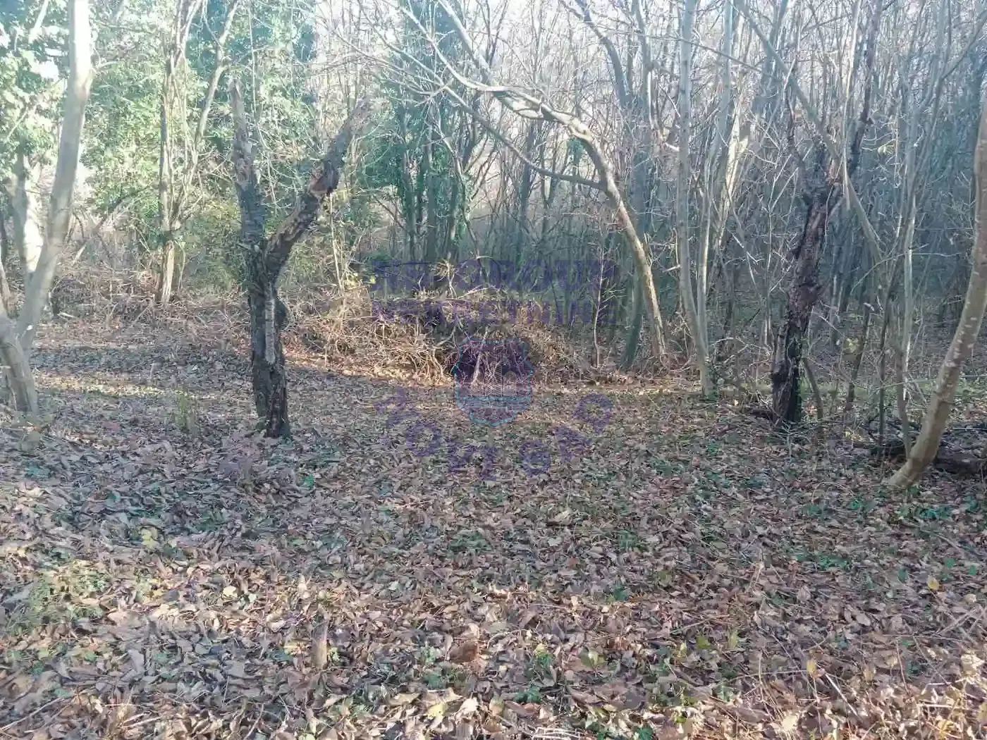 plac na prodaju Sremska Kamenica 959m2 557093