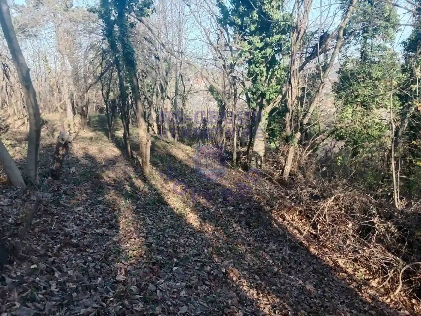 plac na prodaju Sremska Kamenica 959m2 557093