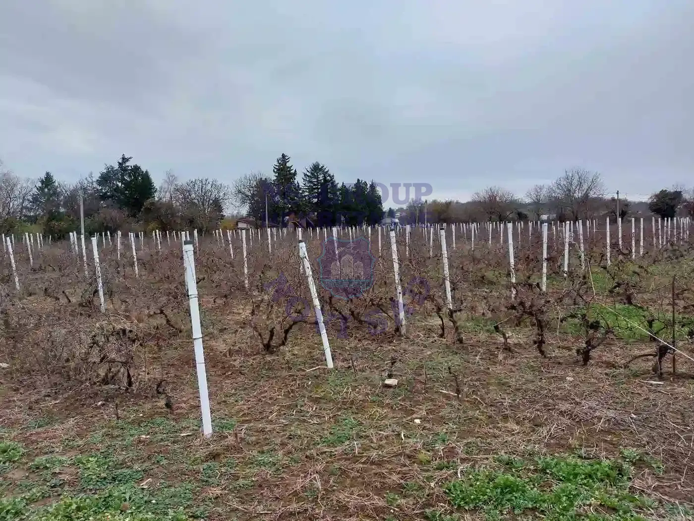 plac na prodaju Petrovaradin 1098m2 560611
