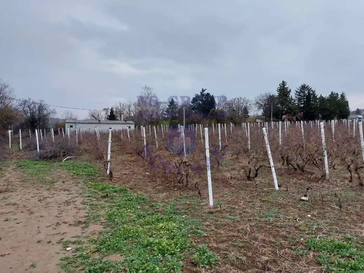 plac na prodaju Petrovaradin 1098m2 560611