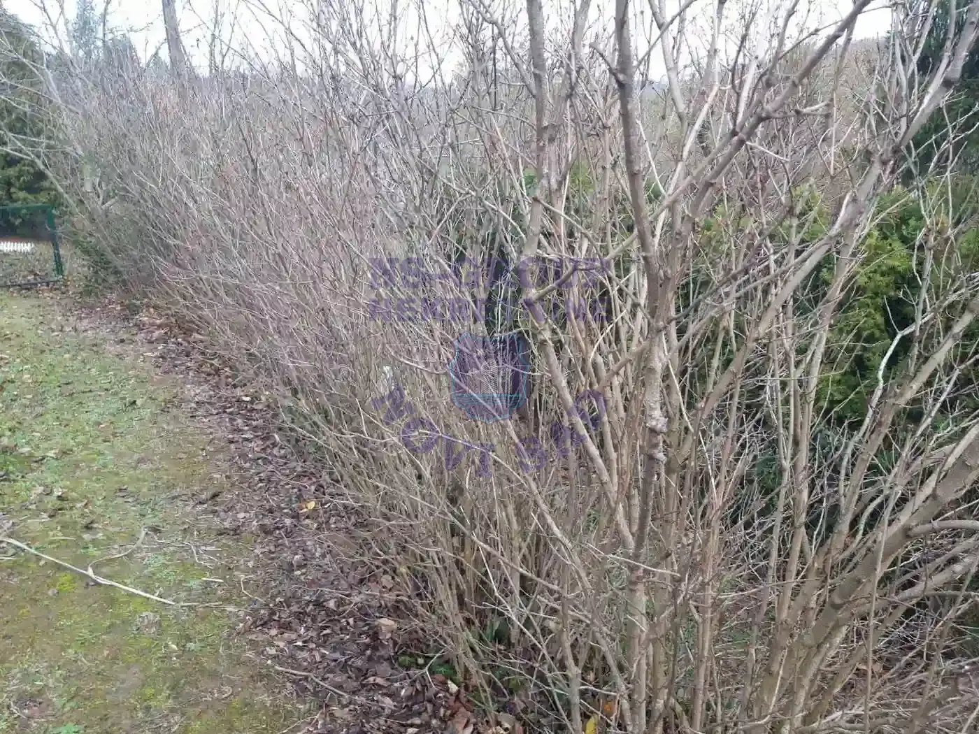plac na prodaju Sremska Kamenica 440m2 561301