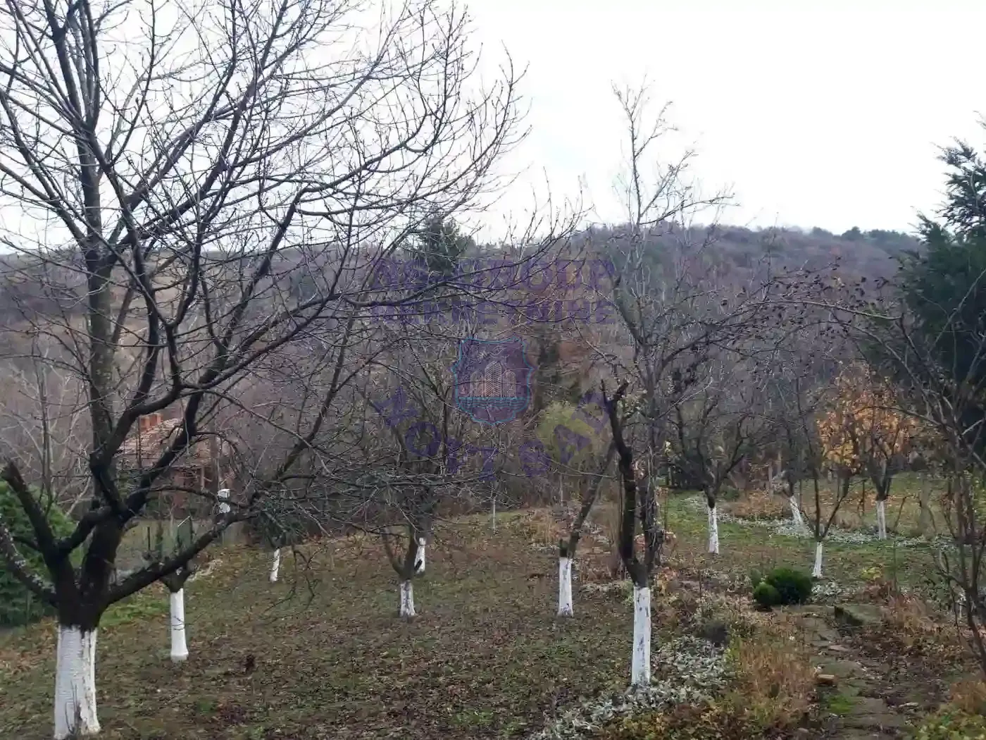 plac na prodaju Sremska Kamenica 440m2 561301