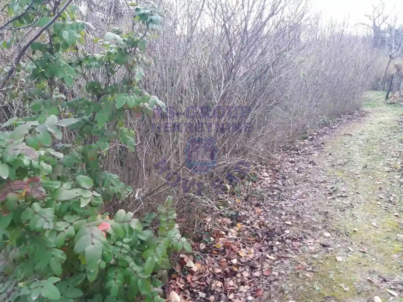 plac na prodaju Sremska Kamenica 440m2 561301