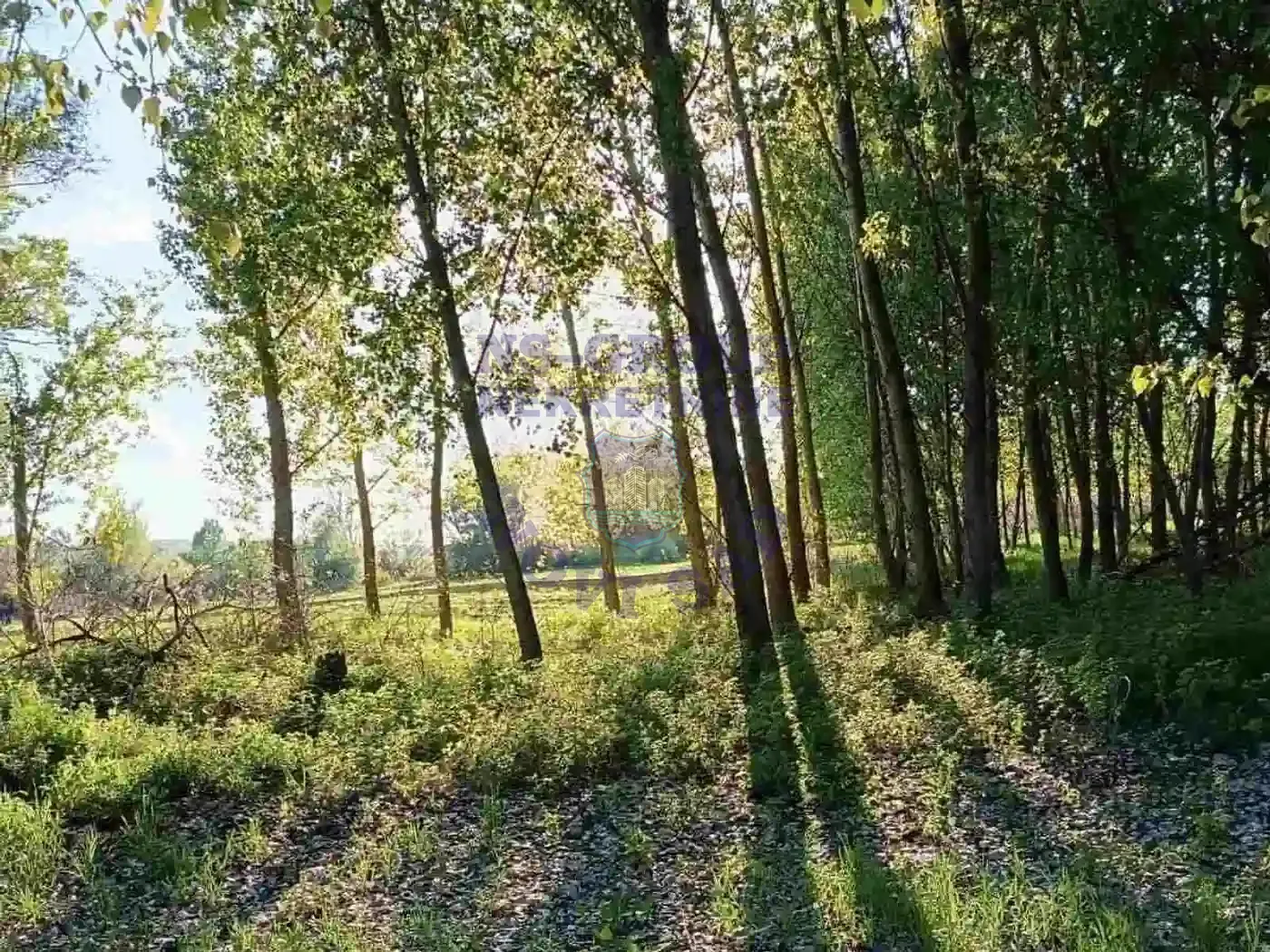 plac na prodaju Ledinci 1589m2 542680
