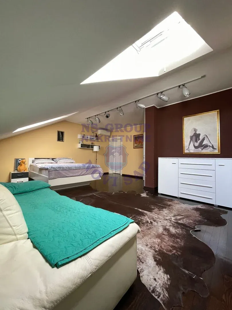 stan na prodaju Novi Sad 310m2 561166