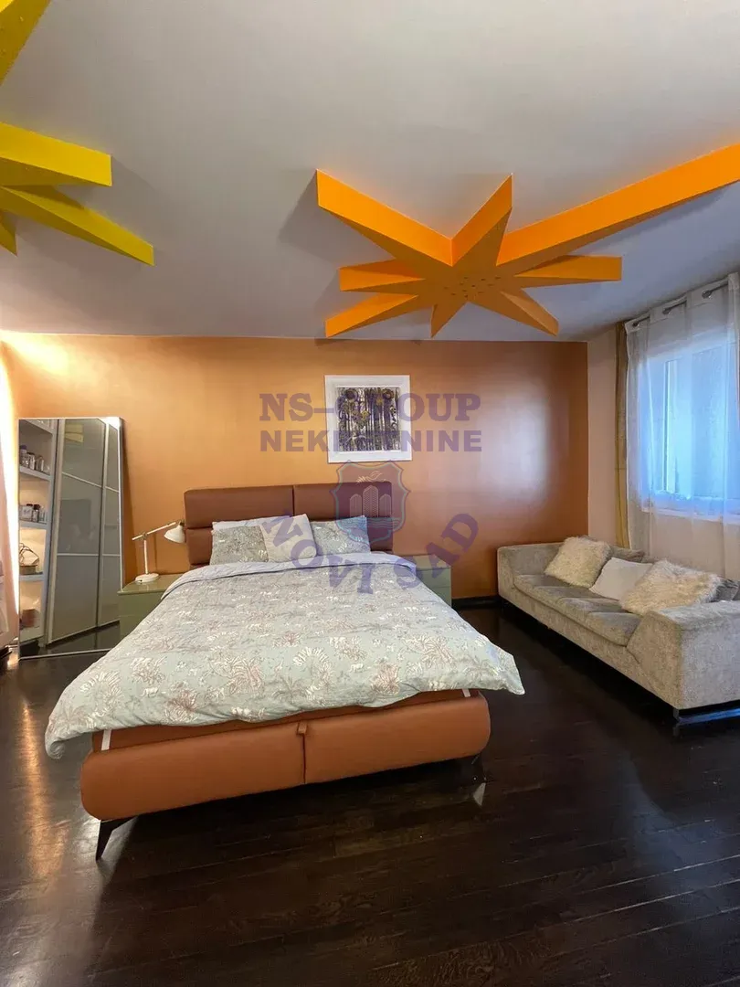 stan na prodaju Novi Sad 310m2 561166