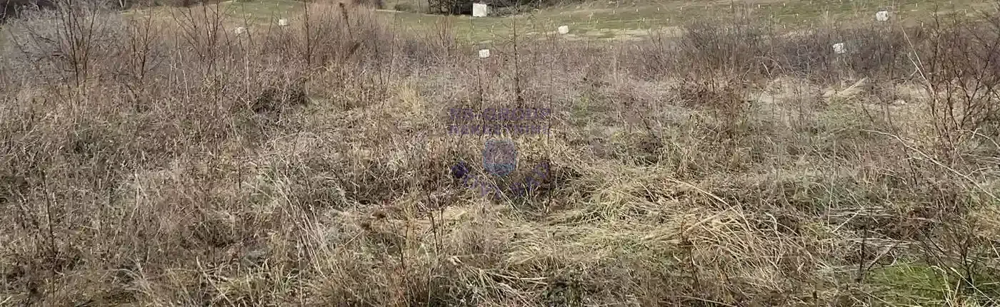 plac na prodaju Rakovac, 2062m2 562883