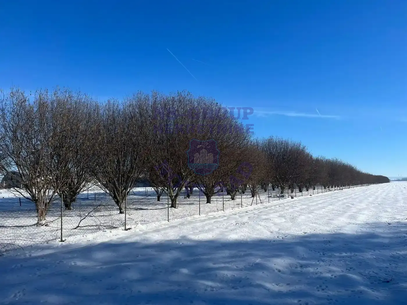 plac na prodaju Obrovac 7197m2 563830