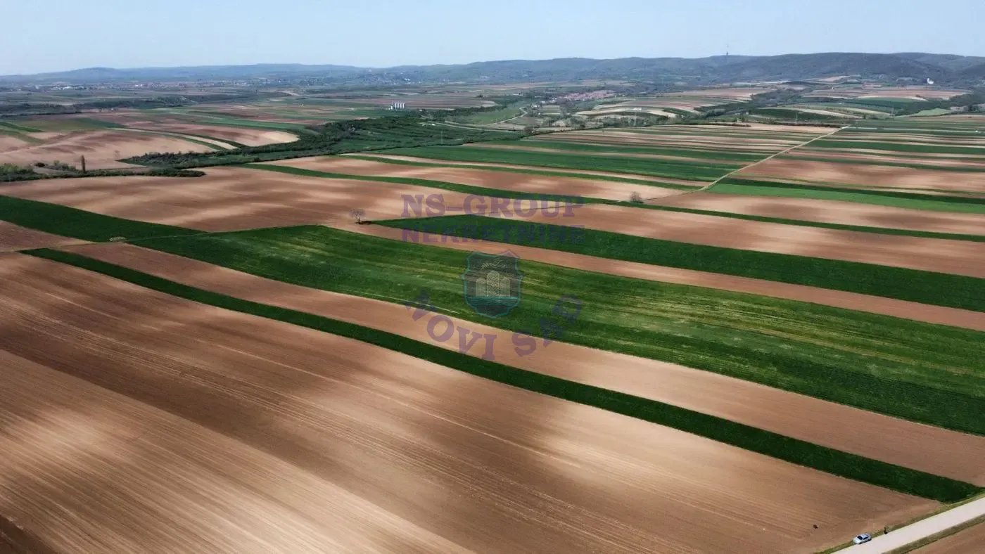 plac na prodaju Irig, 6572m2 563904