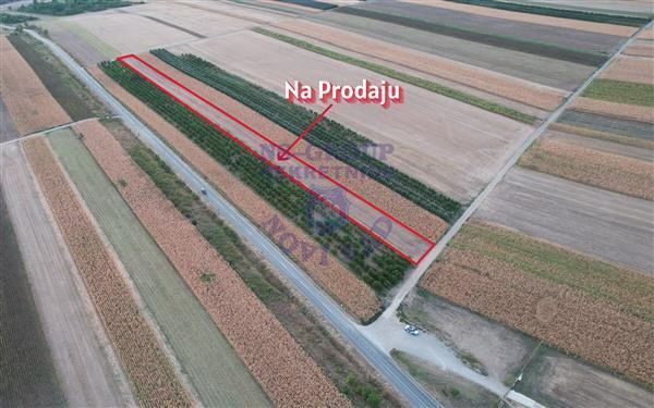 plac na prodaju Irig, 7225m2 563923