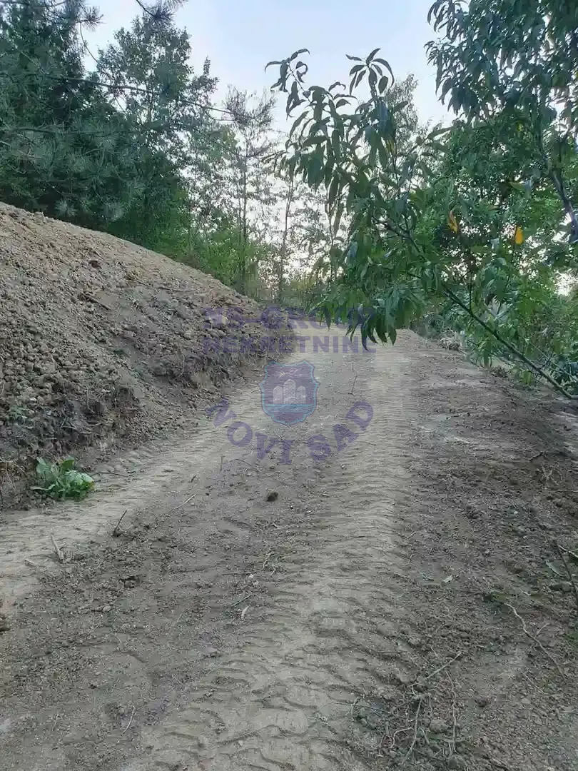 plac na prodaju Beočin 556m2 564383