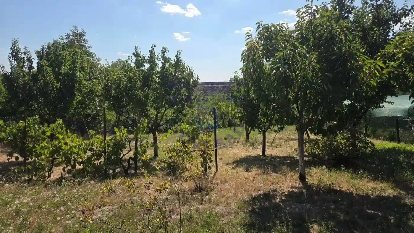plac na prodaju Maradik 1129m2 564392