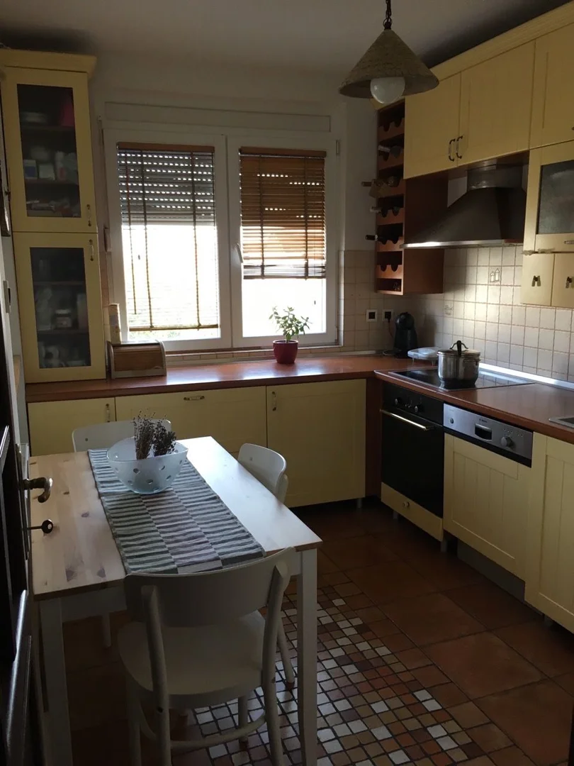stan na prodaju Novi Sad 100m2 564787