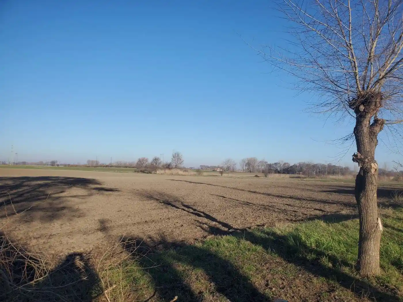 plac na prodaju Srbobran 743m2 565043