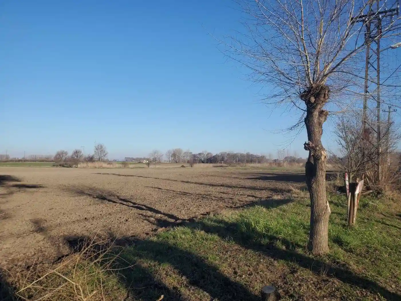 plac na prodaju Srbobran 743m2 565038