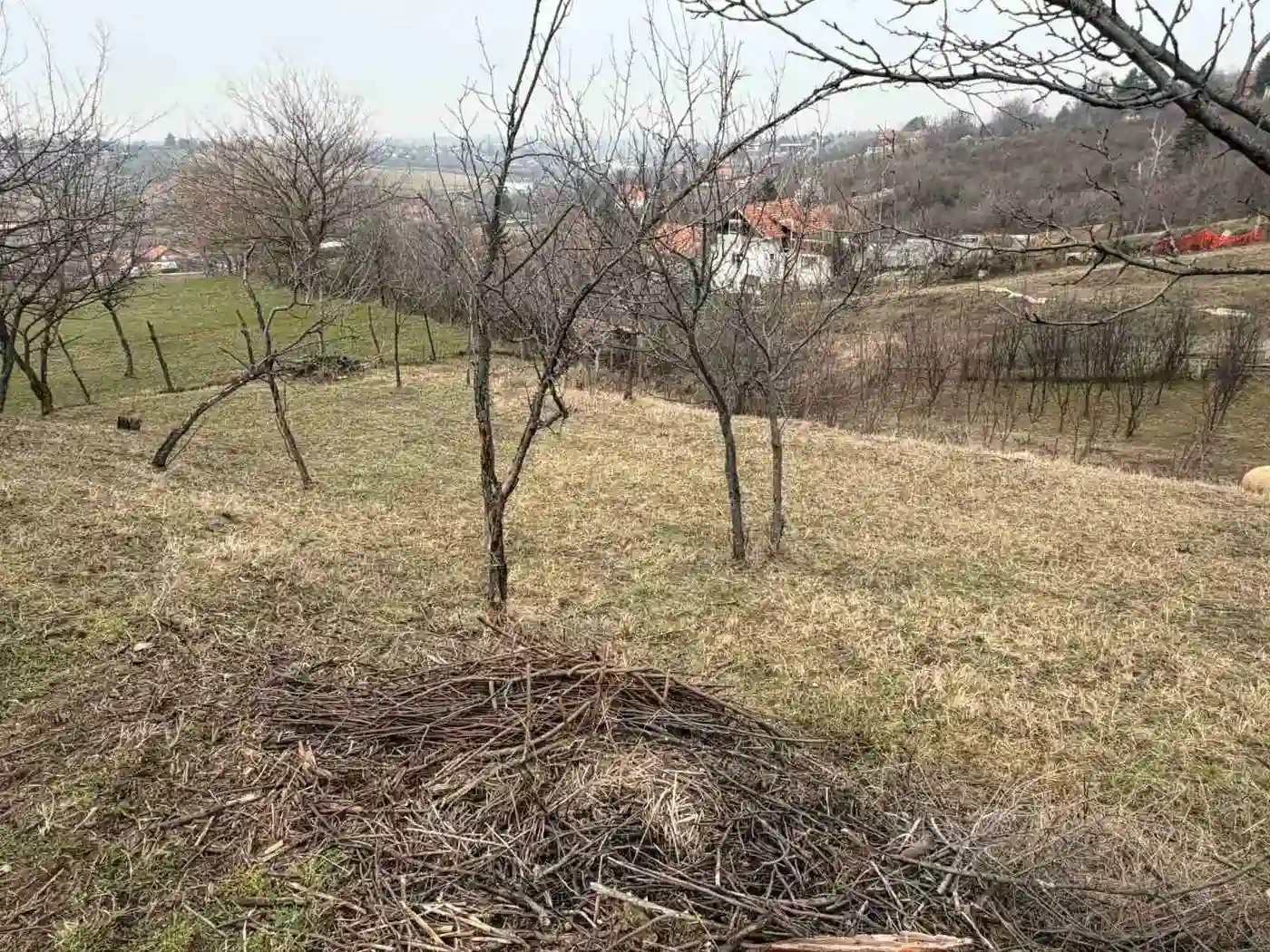 plac na prodaju Petrovaradin 1296m2 565273