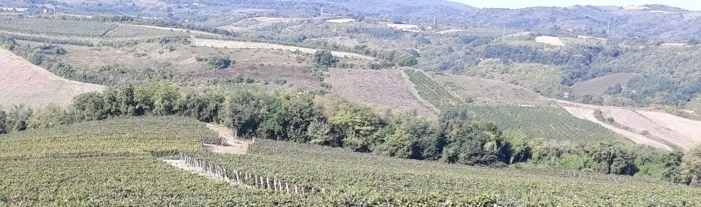 plac na prodaju Sremski Karlovci, 4062m2 565311