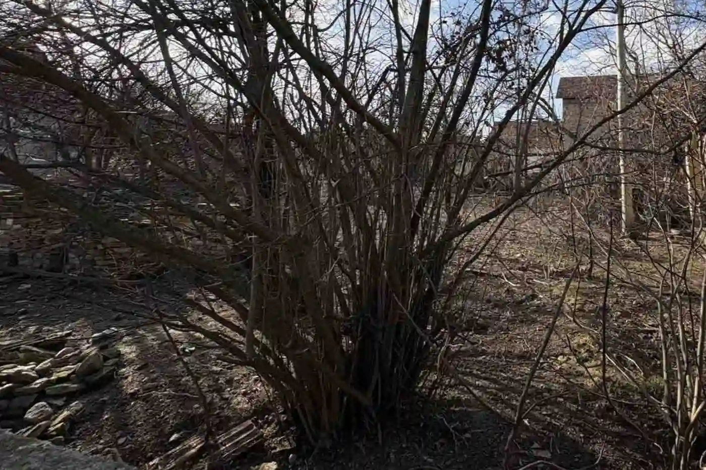 plac na prodaju Kać, 1084m2 541514