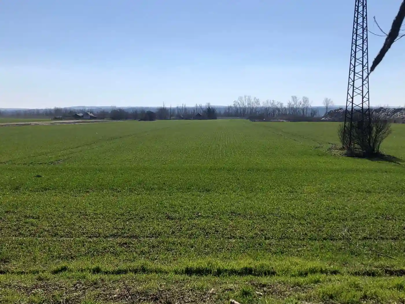 plac na prodaju Bačka Palanka, 11766m2 565050