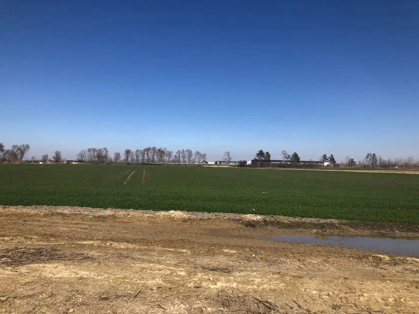 plac na prodaju Bačka Palanka 11766m2 565050