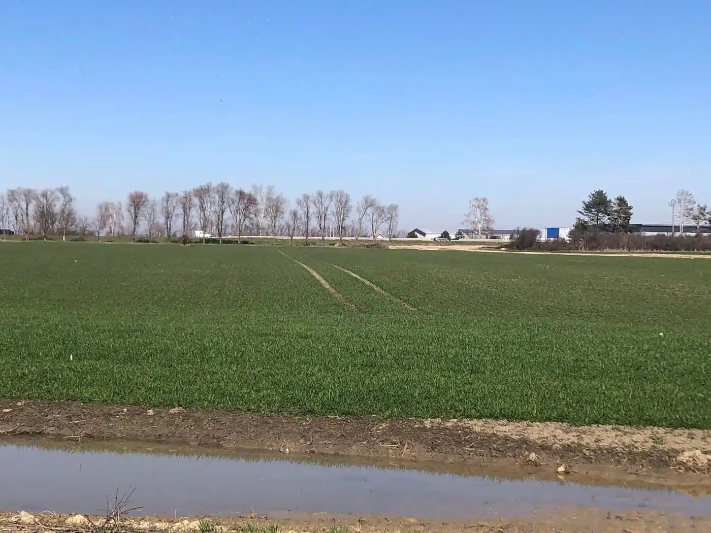 plac na prodaju Bačka Palanka 11766m2 565050
