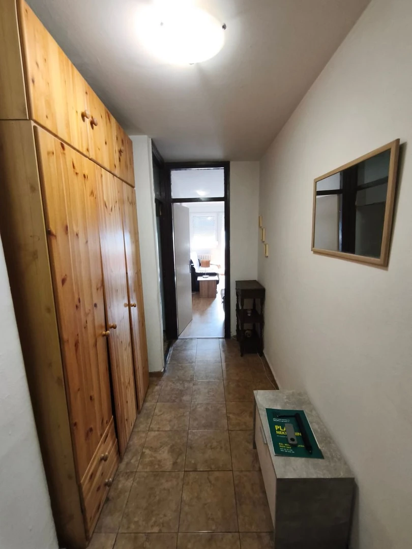 stan na prodaju Novi Sad 47m2 565384