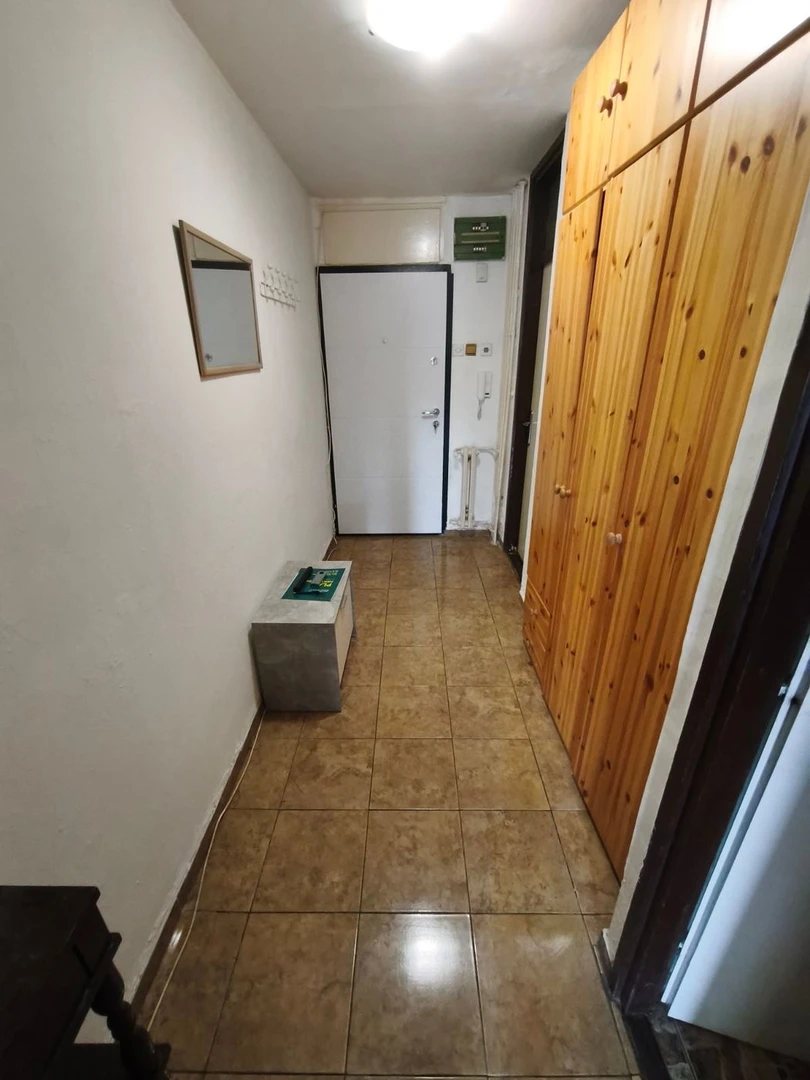stan na prodaju Novi Sad 47m2 565384