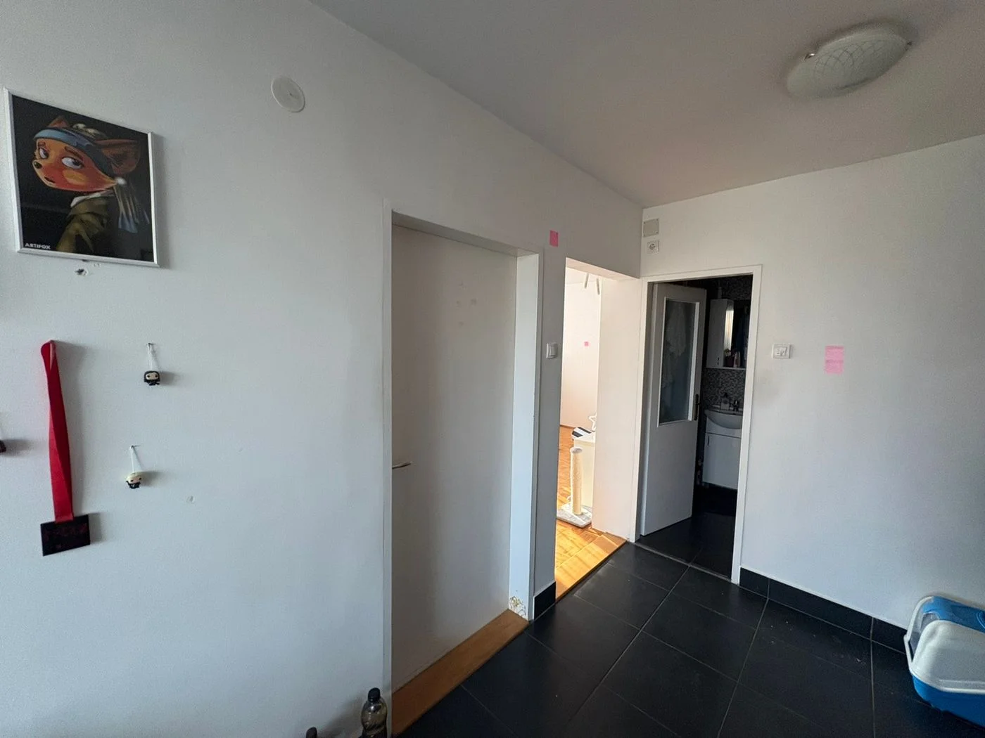 stan na prodaju Novi Sad 71m2 565507