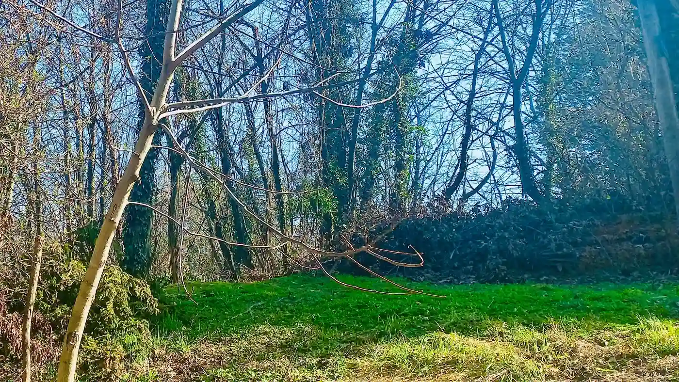 plac na prodaju Sremska Kamenica 2951m2 565524