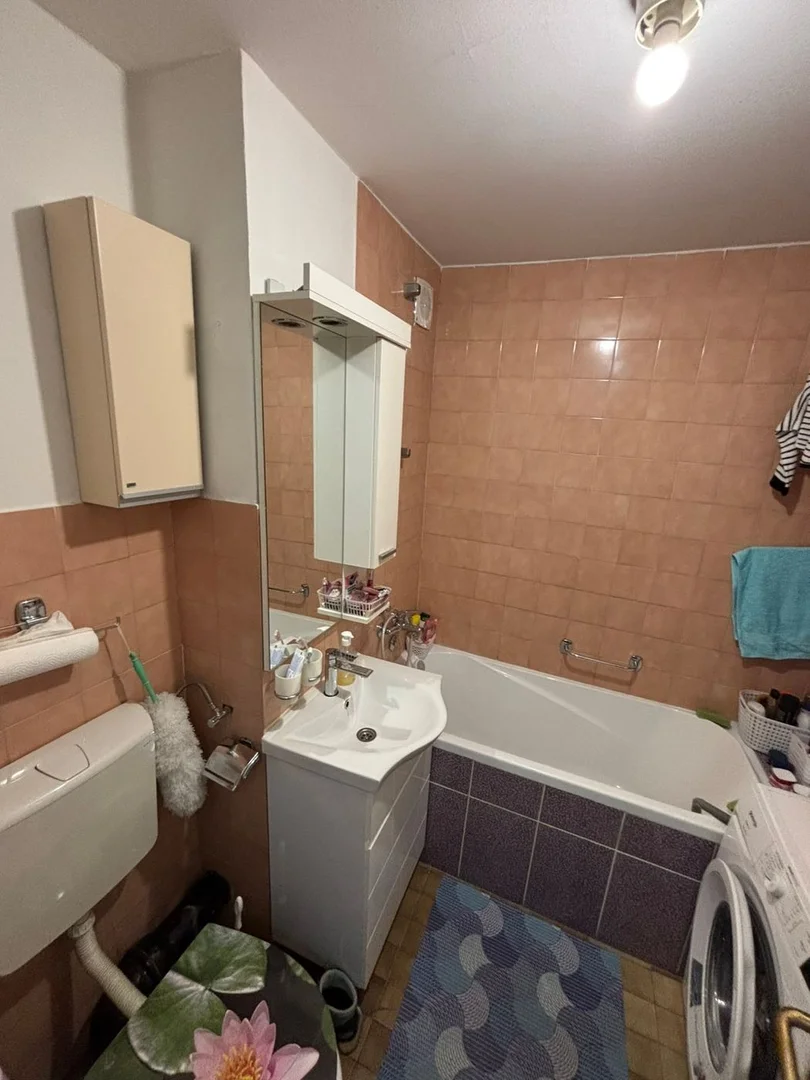 stan na prodaju Novi Sad 25m2 565540