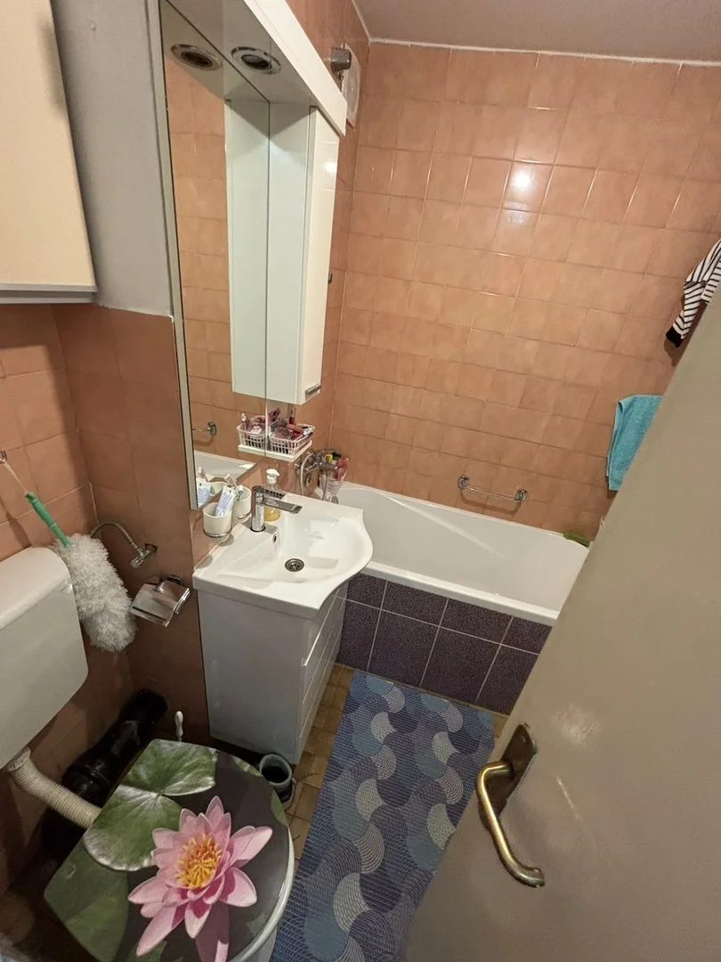 stan na prodaju Novi Sad 25m2 565540